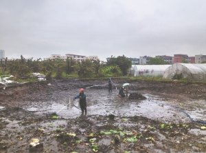 东丰河道鱼塘清淤